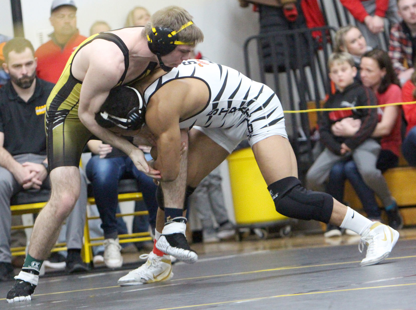 Division 3 Wrestling Regional at Cadott 2-15-20